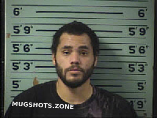 Stinson Joshua William 12 17 2022 Transylvania County Mugshots Zone