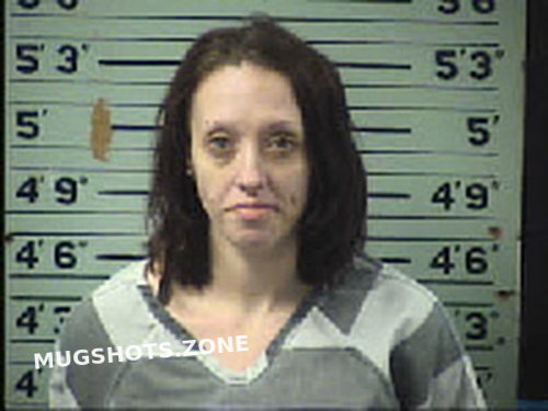 Miller Cassandra Elizabeth 01 04 2023 Transylvania County Mugshots Zone