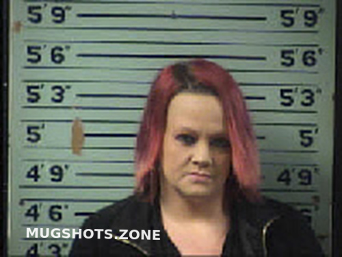 Mcdonald Samantha Kay 01 13 2023 Transylvania County Mugshots Zone