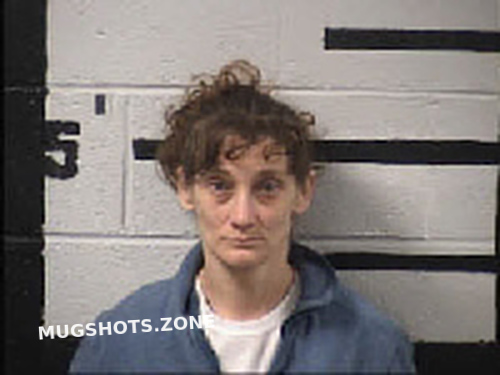 Putman Lindsey Ann 04 27 2023 Transylvania County Mugshots Zone