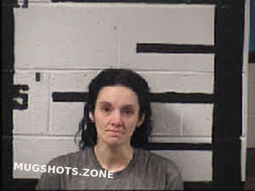 King Jasmine Paige 05 08 2023 Transylvania County Mugshots Zone