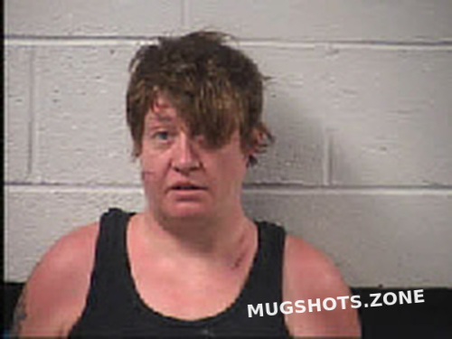 Noe Katherine Marie 06 07 2023 Transylvania County Mugshots Zone