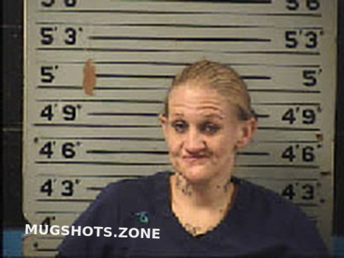 Wolfrey Alesha Ann 07 12 2023 Transylvania County Mugshots Zone