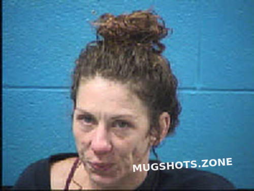 Mccall Crystal Jasmine 08 11 2023 Transylvania County Mugshots Zone