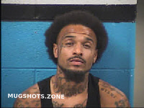 BRADLEY CHRISTOPHER TRE 08/26/2023 - Transylvania County Mugshots Zone