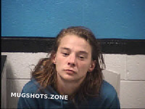 Shelton Ashley Briana 11 08 2023 Transylvania County Mugshots Zone