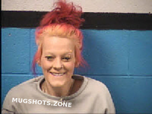 Mcdonald Hali Renae 02 17 2024 Transylvania County Mugshots Zone