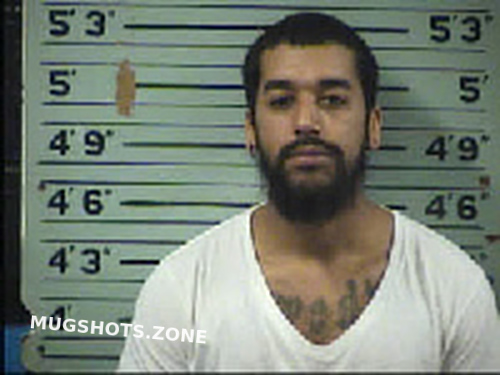 RODRIGUEZ JOSE LUIS 05/09/2024 - Transylvania County Mugshots Zone