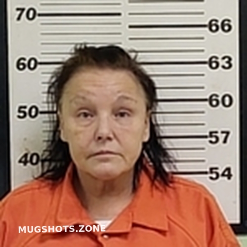 PAULA JEAN MILLS 01/03/2025 - Tunica County Mugshots Zone