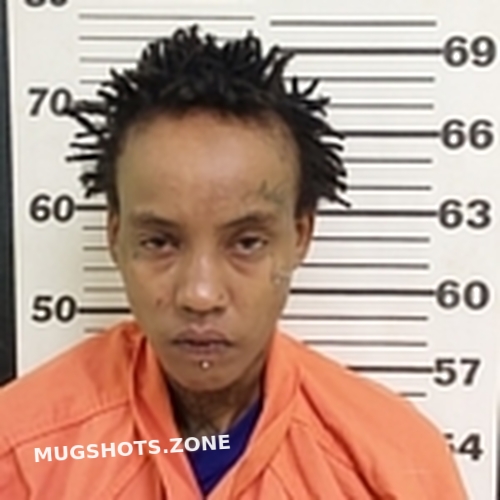 TYWANNA WEBB 04/23/2025 Tunica County Mugshots Zone