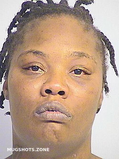 CLARK 11/18/2024 Tuscaloosa County Mugshots Zone