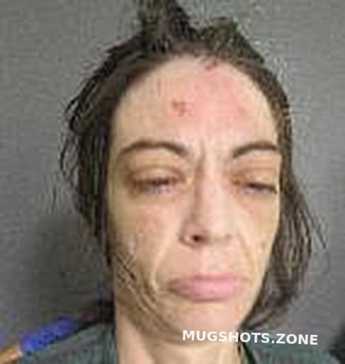 WOLF CAITLIN ANN 08/06/2022 Van Buren County Mugshots Zone