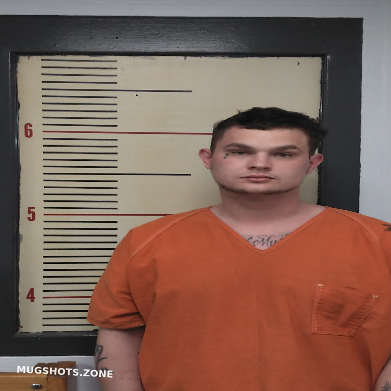 ROBINSON CANYEN SHANE 12/02/2022 Van Zandt County Mugshots Zone