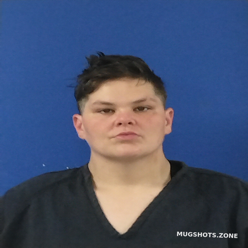 BRIDGET ANNA 01/29/2024 Van Zandt County Mugshots Zone