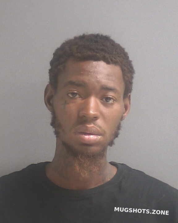 WELLS JARVIS B 06/22/2021 - Volusia County Mugshots Zone