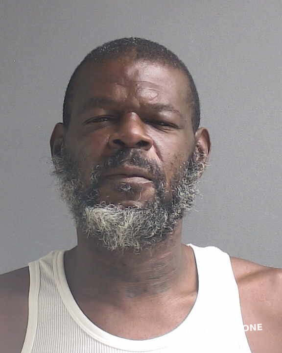 BROWN DERRICK TRAVIS 11/24/2021 - Volusia County Mugshots Zone