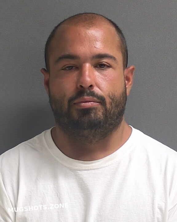 Valdes Andrew J 11282021 Volusia County Mugshots Zone 8275