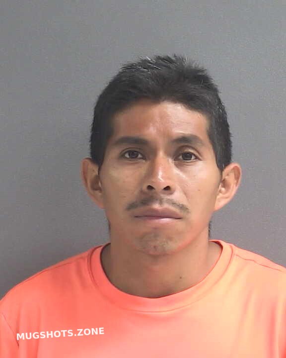 PEREZ EDGAR A 06/16/2022 - Volusia County Mugshots Zone