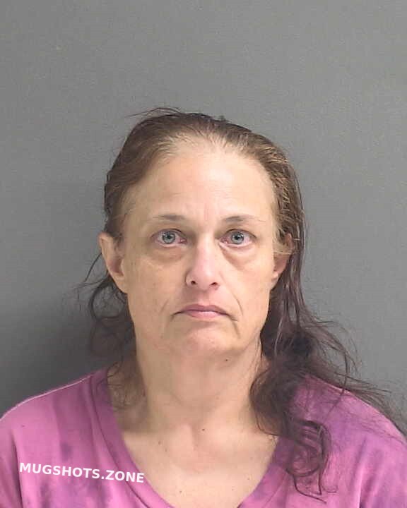 HILL DEBRA ANN 10/31/2022 - Volusia County Mugshots Zone