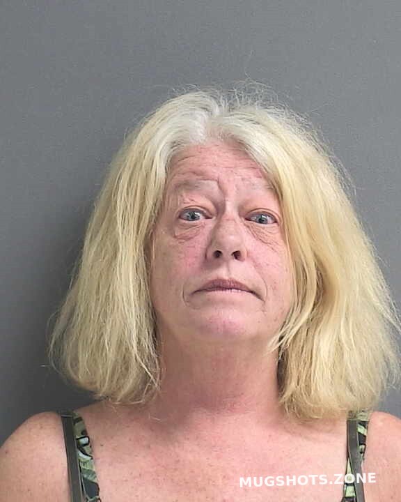 Vega Lynda Susann 11 12 2022 Volusia County Mugshots Zone