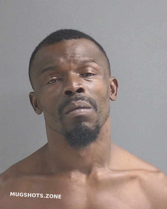 HINES EDWARD LEE 11/19/2022 Volusia County Mugshots Zone