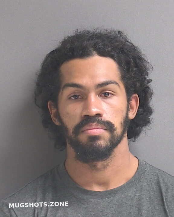 Then Luis 11222022 Volusia County Mugshots Zone 4883