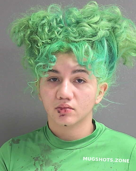 Ramos Tatiana L 12252022 Volusia County Mugshots Zone 1046