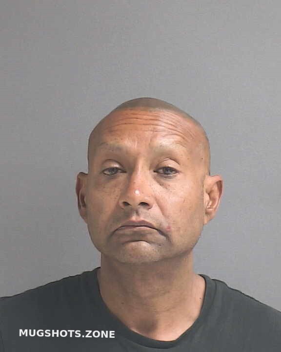 saddi-naveen-02-12-2023-volusia-county-mugshots-zone