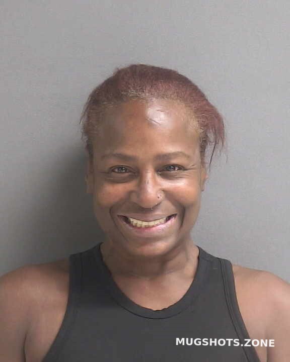 JOHNSON SAVANNAH R 03/24/2023 Volusia County Mugshots Zone