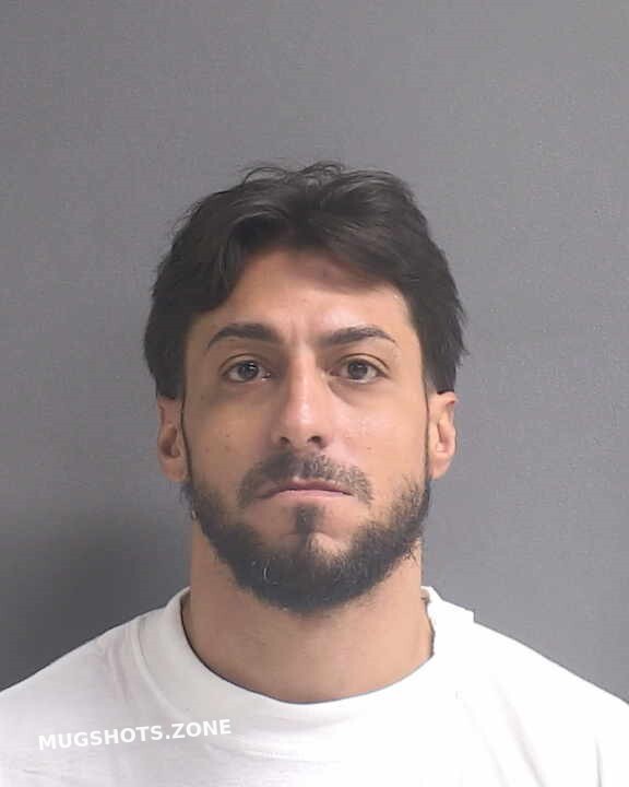 NIEVES DAVID 04/17/2023 Volusia County Mugshots Zone