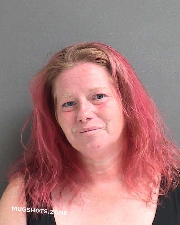 Stelter Brandy Renee 05 21 2023 Volusia County Mugshots Zone