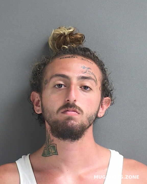 Lamattina Joshua 08 14 2023 Volusia County Mugshots Zone