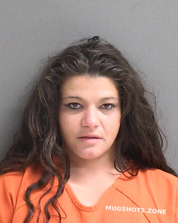 KLEZOS ANGELINA LEONA 08/24/2023 - Volusia County Mugshots Zone
