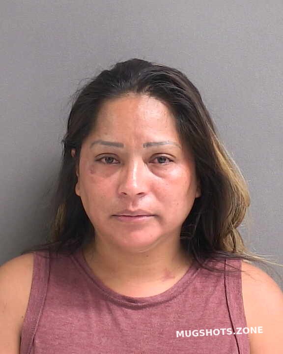 GONZALEZ MARIA D 10/04/2023 - Volusia County Mugshots Zone