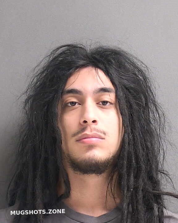 Gomez Eleal 10 26 2023 Volusia County Mugshots Zone