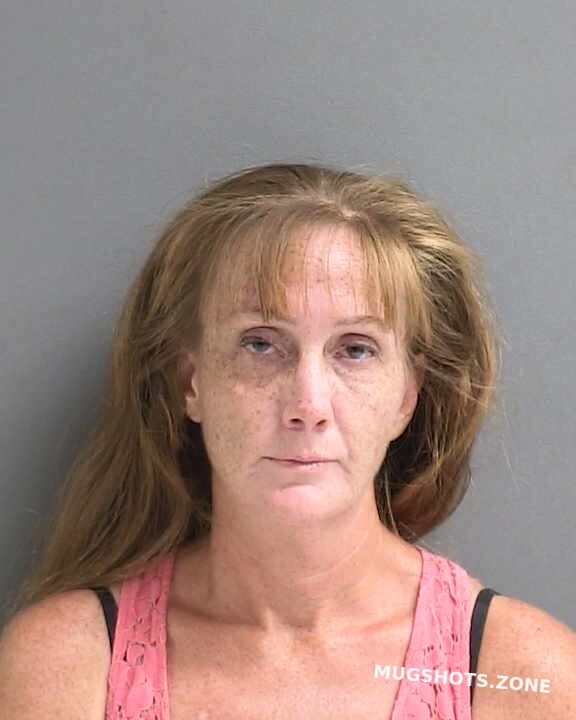 Sandillo Melissa Ann 10272023 Volusia County Mugshots Zone 