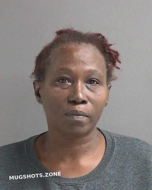 BRIGHT GALE LOUISA 01/05/2024 Volusia County Mugshots Zone
