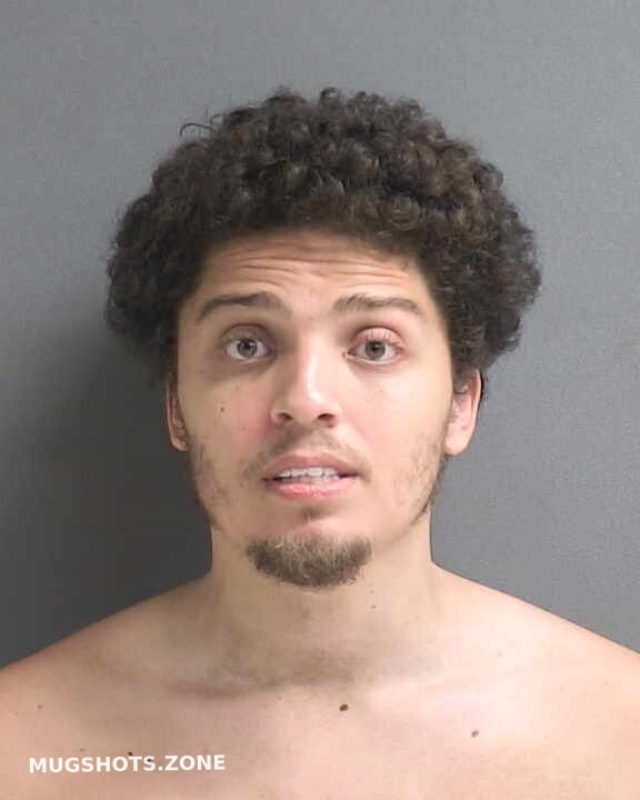 RAMOS ANGEL 02/12/2024 - Volusia County Mugshots Zone