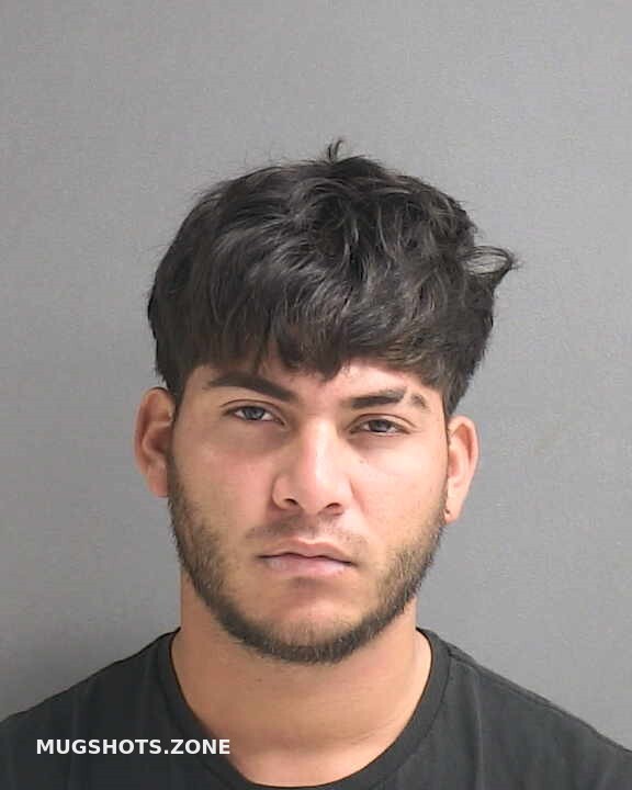 Agurcia Ederi 02 13 2024 Volusia County Mugshots Zone