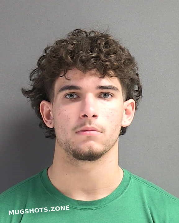 JOHNSON NOAH H 03/17/2024 - Volusia County Mugshots Zone