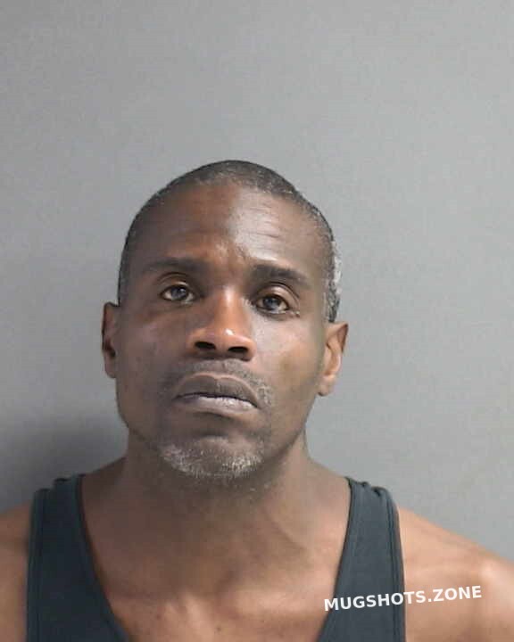 HOGG MICHAEL EDWARD 03/24/2024 - Volusia County Mugshots Zone