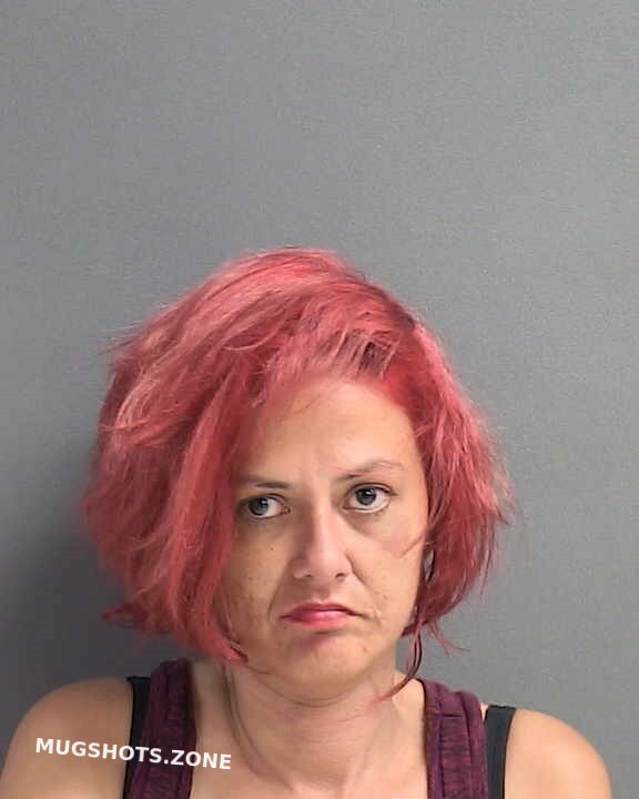 Turner Elizabeth A 04112024 Volusia County Mugshots Zone 