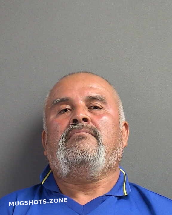 MENDOZA GUADALUPE S 06/01/2024 Volusia County Mugshots Zone(04)
