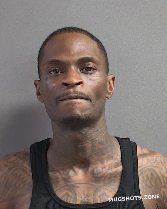 BURGESS JAMES ALLEN 06/14/2024 - Volusia County Mugshots Zone