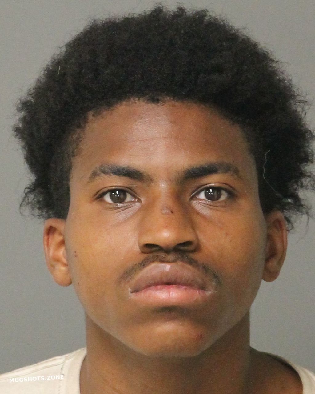 GIBSON ANTHONY DYLAN JR 08/27/2022 - Wake County Mugshots Zone