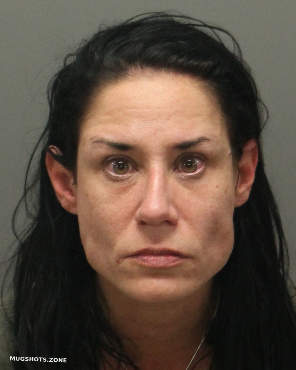 VAN-MEIR SARA BETH 12/08/2022 - Wake County Mugshots Zone