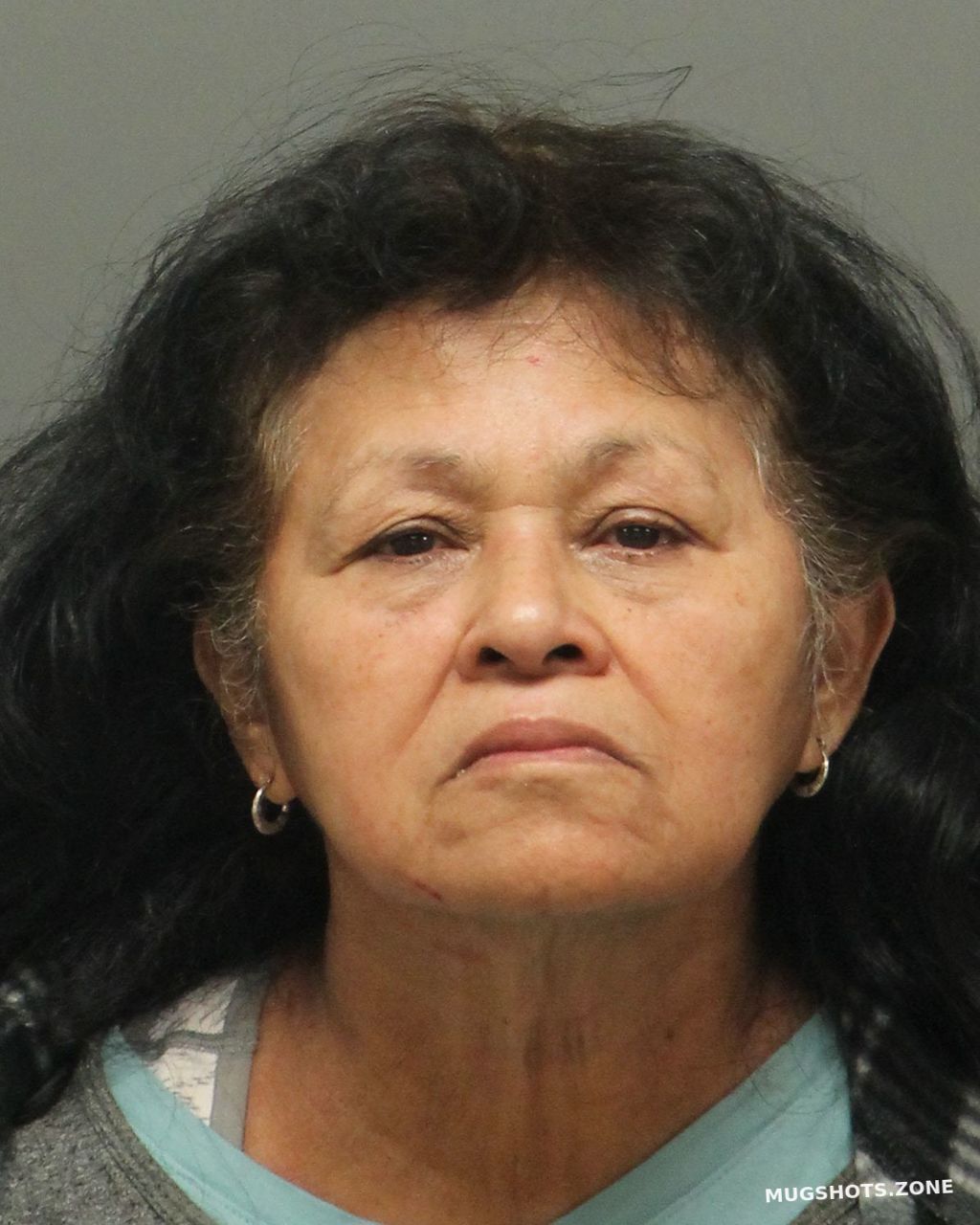 BENITESMEDEROS FACUNDA 02/06/2023 Wake County Mugshots Zone