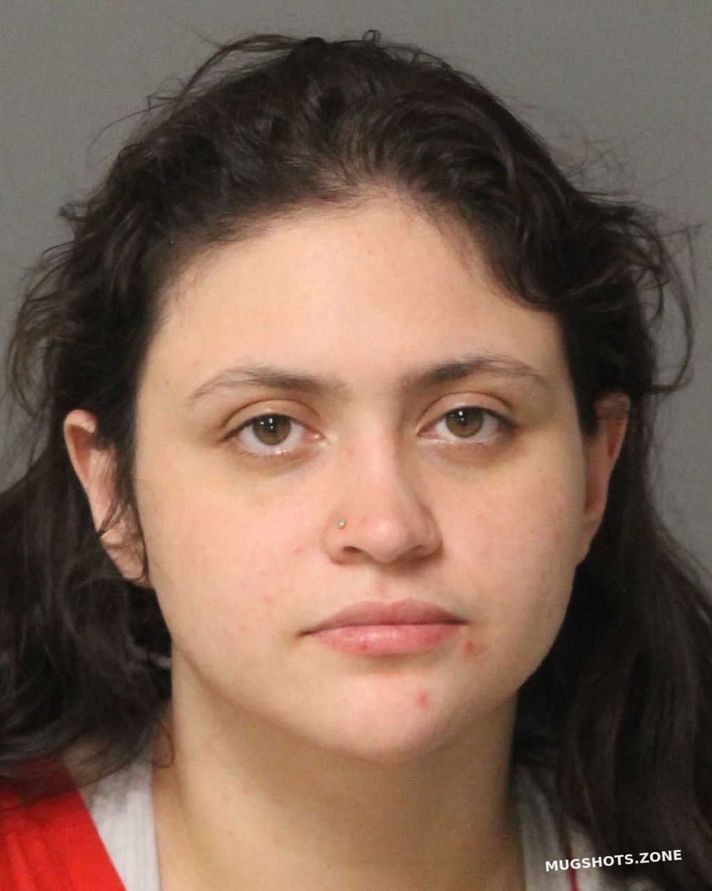 CHAVEZ-MAYES ANDREA ISABEL 02/10/2023 - Wake County Mugshots Zone