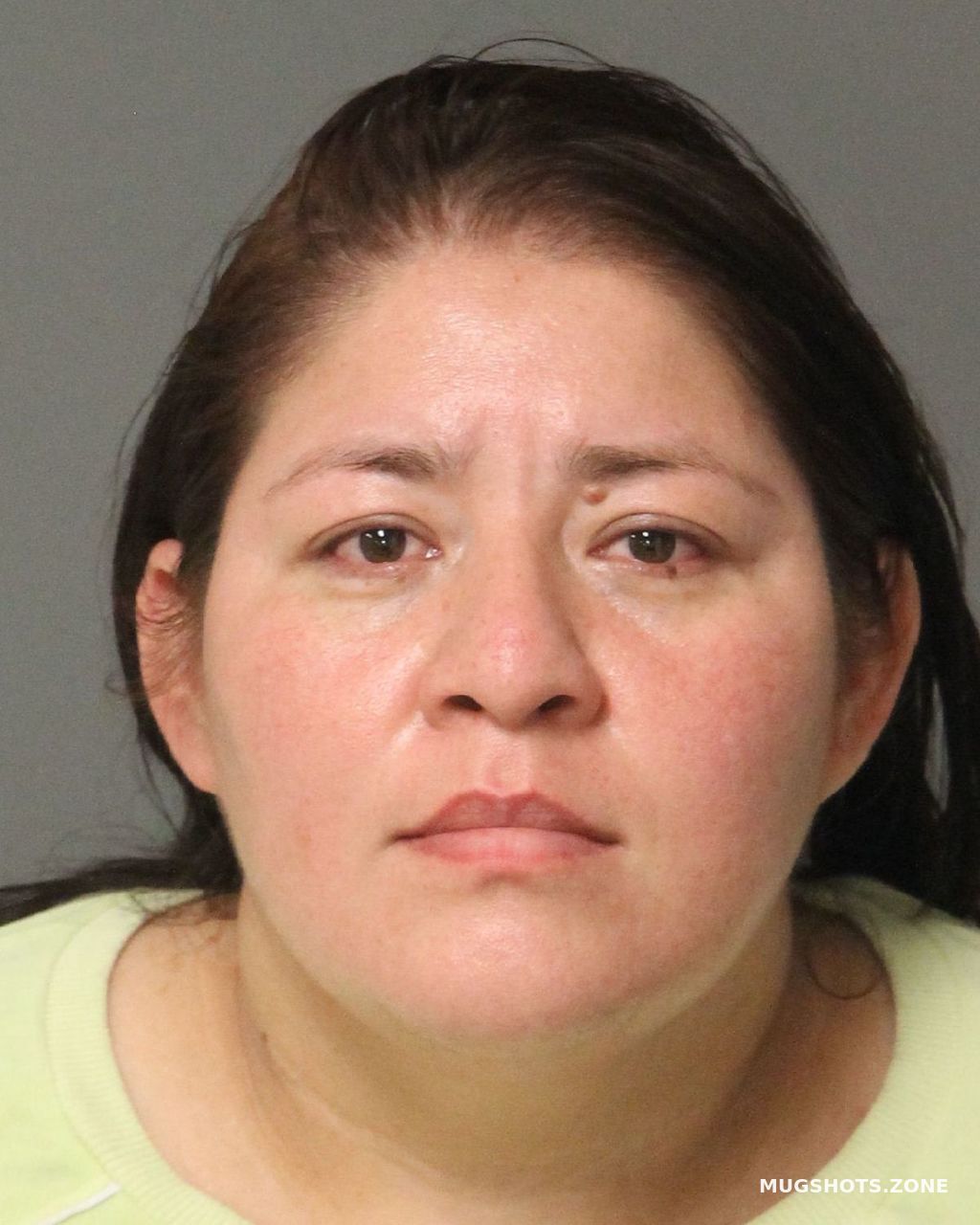 ARGUETA-VENTURA DELMI LORENA 02/14/2023 - Wake County Mugshots Zone