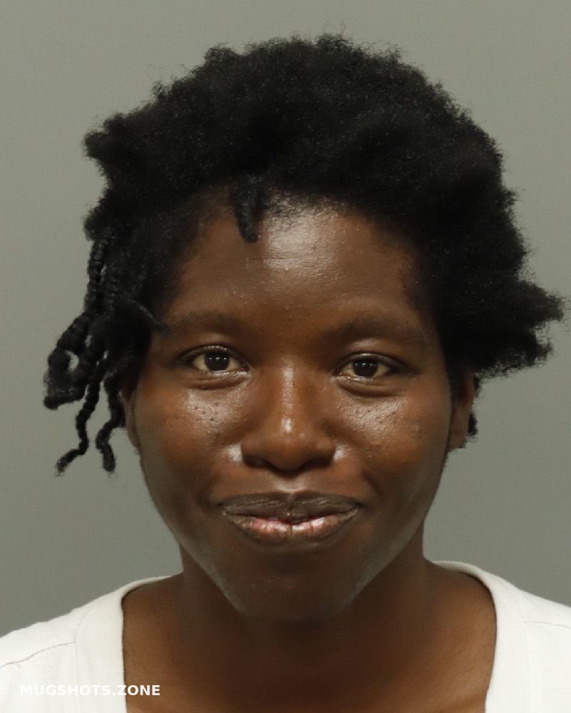 BROWN KELSEY NICHOLE 08/12/2023 Wake County Mugshots Zone